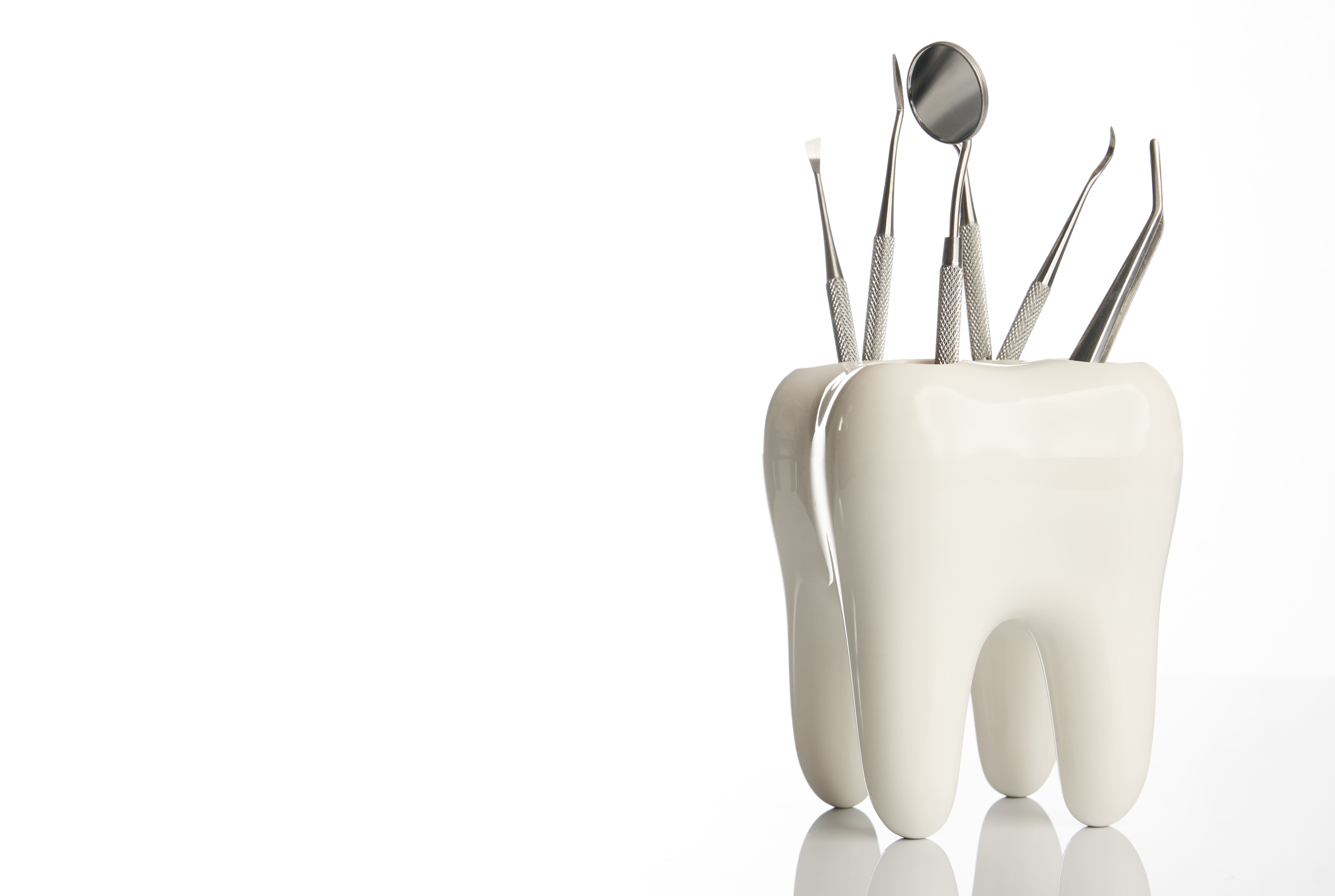 ortho