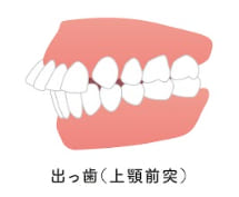 ortho