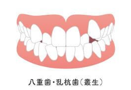 ortho