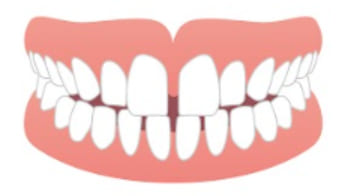 ortho